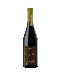 Barbera igt senza solfiti aggiunti 750ml BISIO DEVIS
