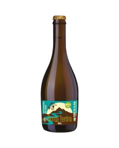 Birra bionda trentina - hell 500ml BIRRA VAL DI NON