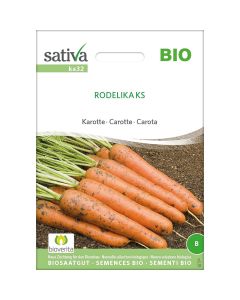 Carota - rodelika 3g SATIVA