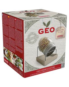 Germogliatore in Vetro Vaso Geo