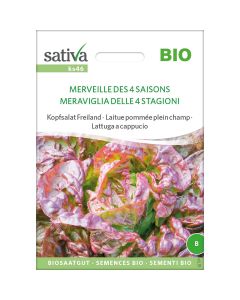 Lattuga cappuccio 4 stagioni 0,75g SATIVA