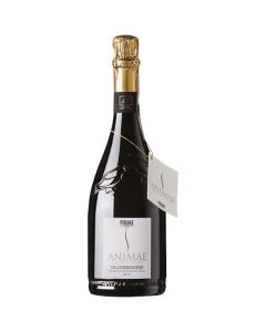 Prosecco di Valdobbiadene superiore docg brut Animae senza solfiti