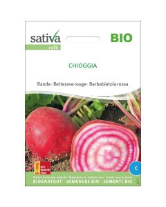 Rapa rossa di chioggia 5g SATIVA