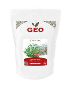 Semi di erba medica per germogli 500g GEO