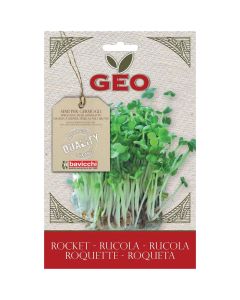 Semi di rucola da germogliare 30g GEO
