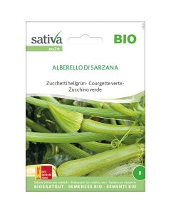 Zucchina alberello di sarzana 2g SATIVA