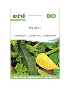 Zucchina mutabile 6g SATIVA